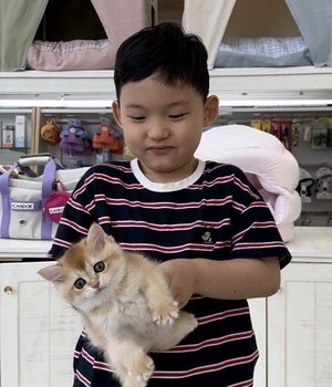브리티쉬 분양후기 [24.7.14]
