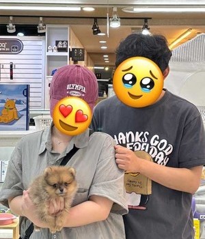 포메라니안 분양후기 [24.5.26]