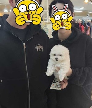 비숑프리제 분양후기 [24.11.10]
