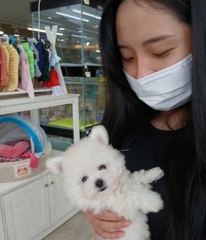 비숑프리제 분양후기 [24.8.26]