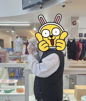 말티푸 분양후기 [24.12.8]