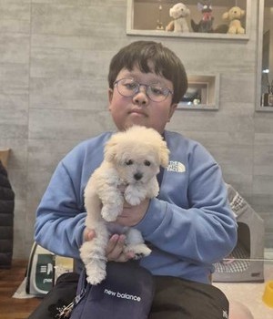 푸들 분양후기 [24.11.30]