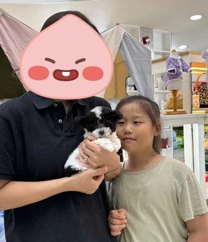 푸숑 분양후기 [24.9.3]