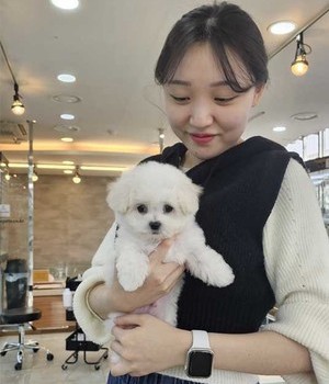 비숑프리제 분양후기 [24.2.1]