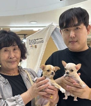 치와와 분양후기 [24.6.16]