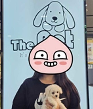 비숑프리제 분양후기/중리점(25.9.21)