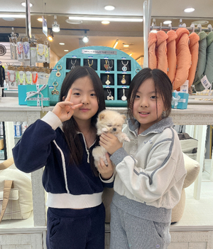 말티폼 분양후기[25.4.12]