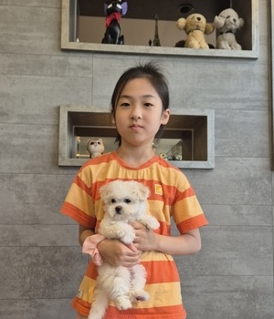 비숑프리제 분양후기[25.5.25]