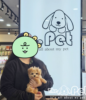 말티푸 분양후기 중리점