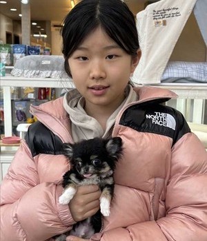 치와와 분양후기 [25.1.29]