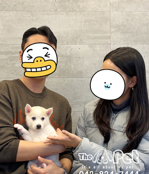 폼스키 분양후기(25.11.08)