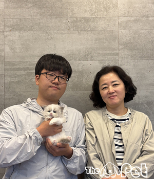 랙돌 분양후기(25.10.18)