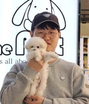 푸들 분양후기/중리점 [25.1.16]