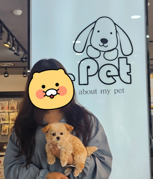 말티푸 분양후기/중리점[25.7.4]