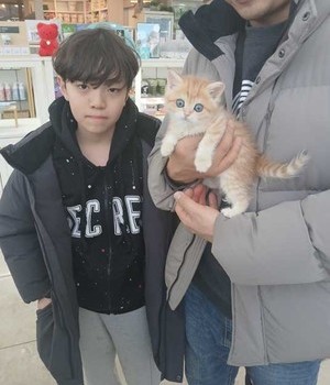 브리티쉬 분양후기 [25.2.16]