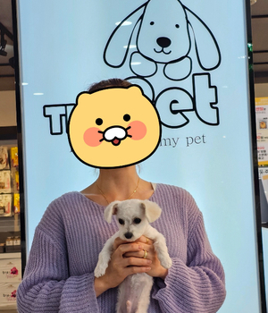 비숑프리제 분양후기/중리점[25.6.2]