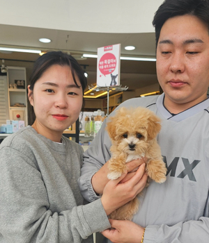 말티푸 분양후기[25.5.11]