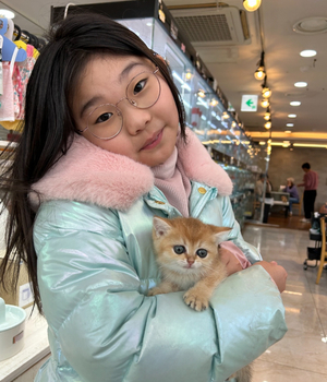 브리티쉬숏헤어 분양후기 [24.12.25]