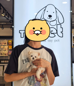 말티푸 분양후기/중리점[25.7.25]