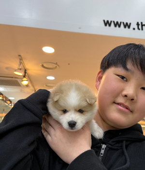 폼스키 분양후기 [25.3.16]