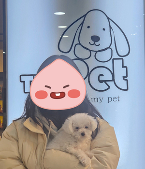 비숑프리제 분양후기/중리점 [24.12.29]