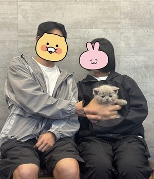 브리티쉬 분양후기(25.10.17)