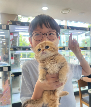 먼치킨 분양후기[25.6.3]