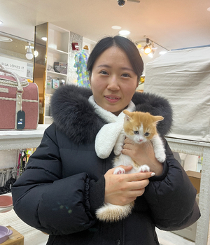 먼치킨 분양후기 [24.12.25]