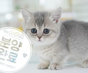 먼치킨 공주님 3.24