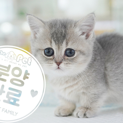 먼치킨 공주님 3.24