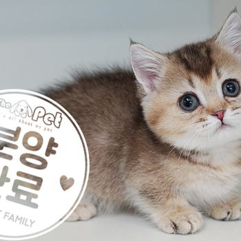 먼치킨 왕자님 3.10