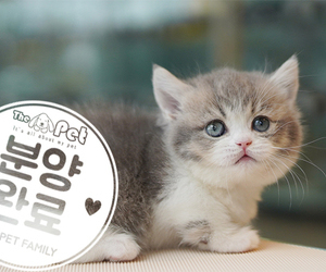 먼치킨 공주님 2.10