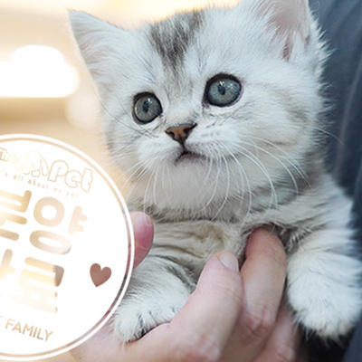 먼치킨 공주님 3.20