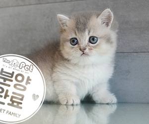 먼치킨 왕자님 7.19