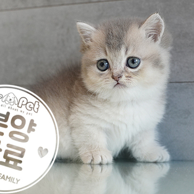 먼치킨 왕자님 7.19