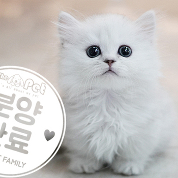 먼치킨 왕자님 6.17