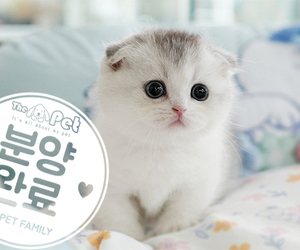 먼치킨킬트 공주님 6.23